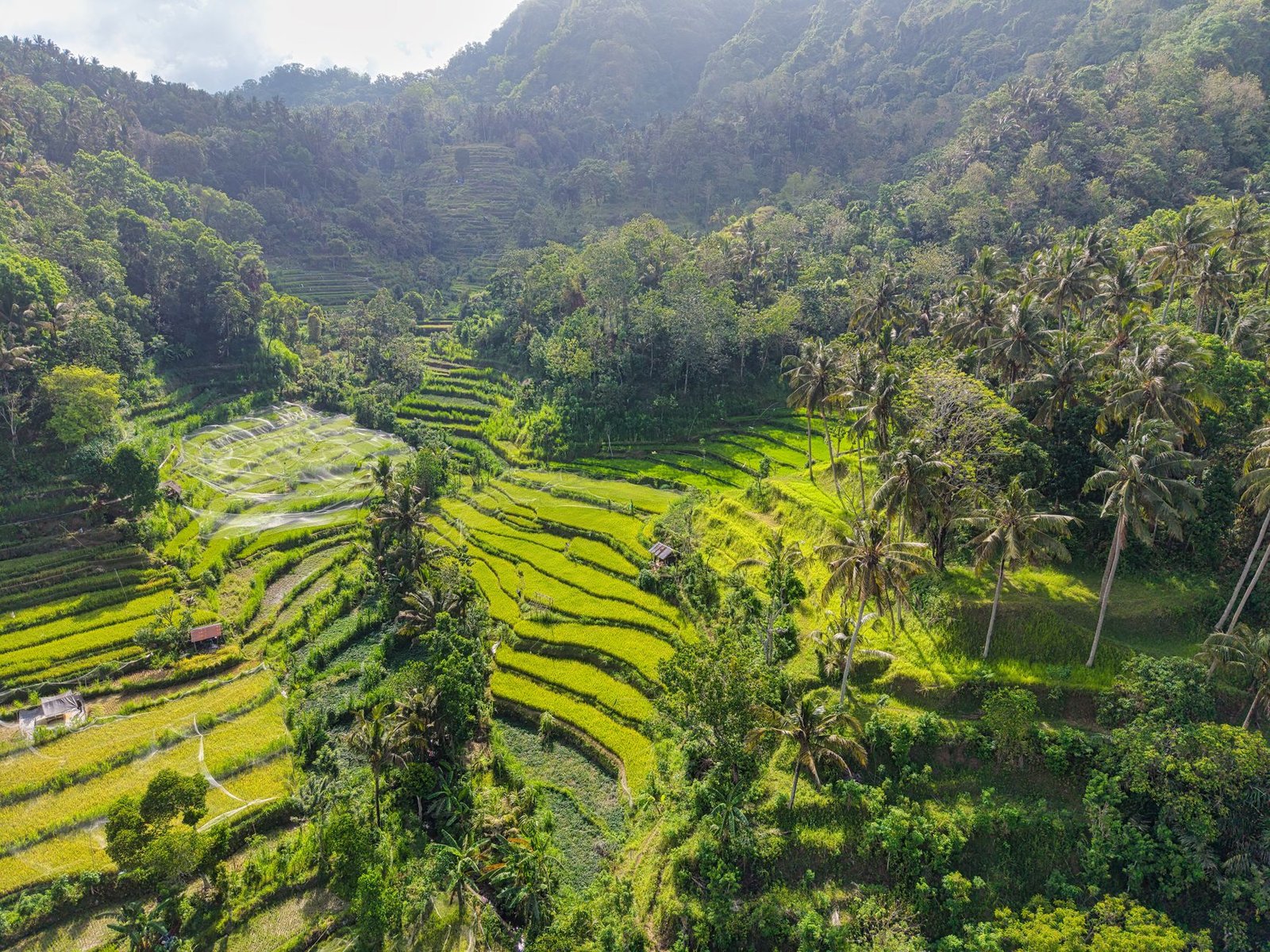 Bali Paradise Escape