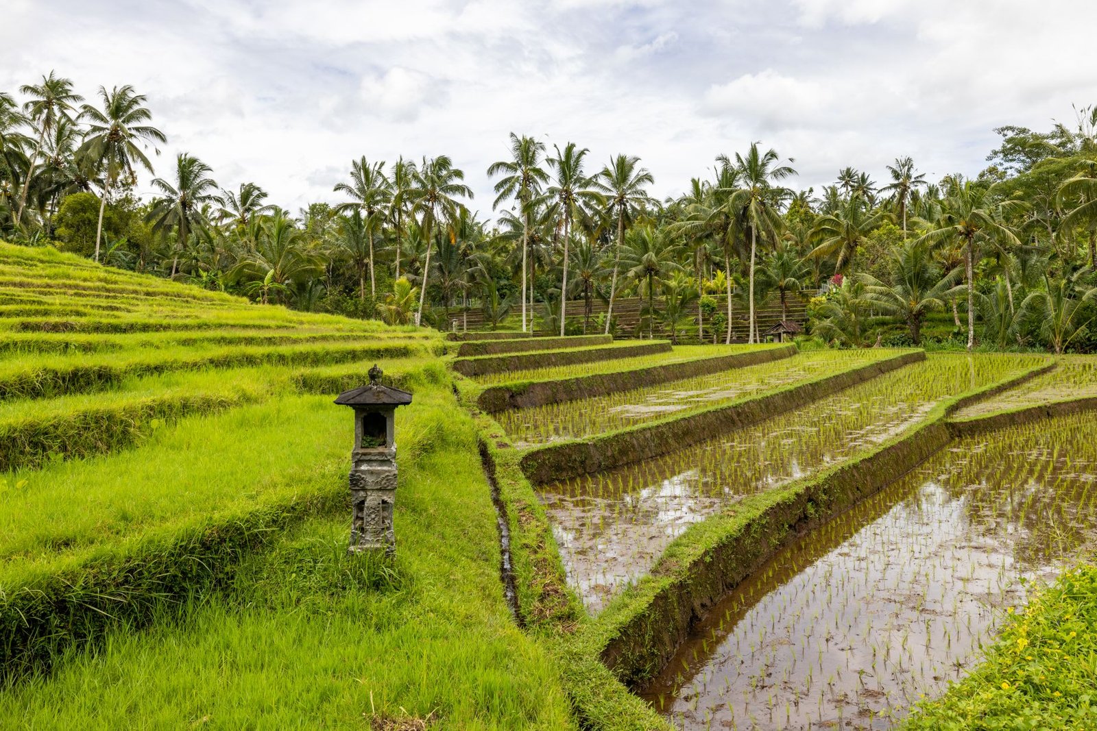 Bali East Coast Journey