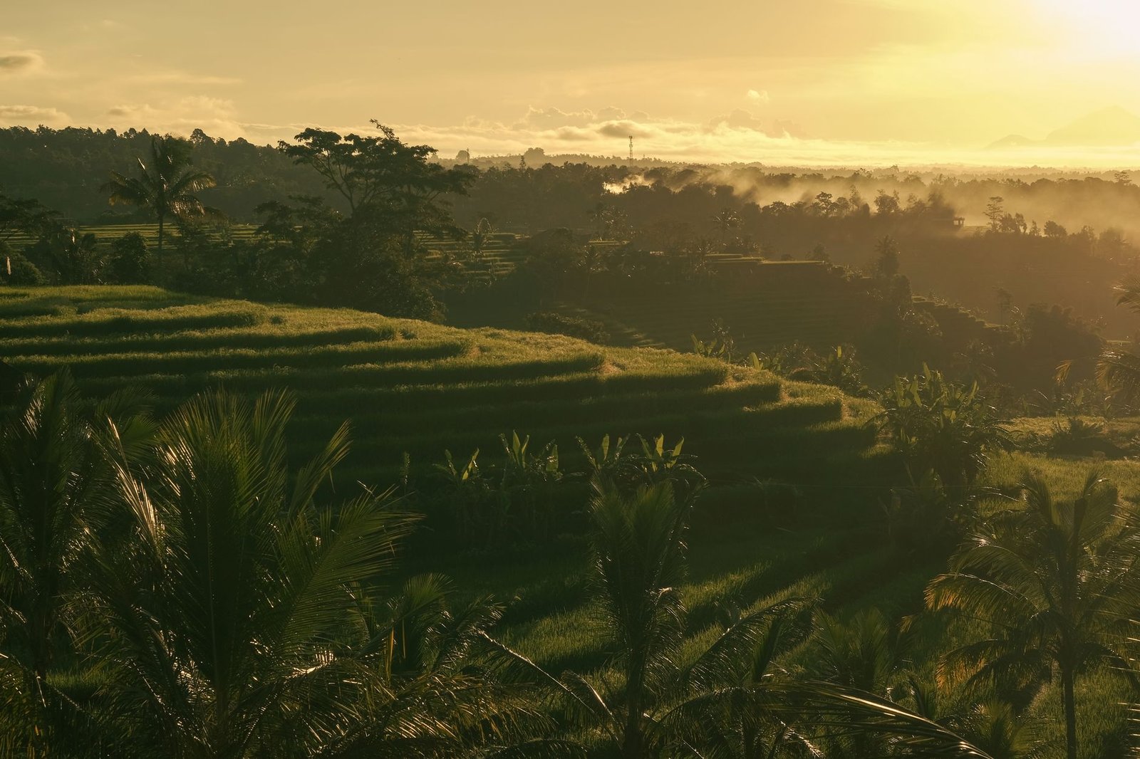 Bali North Coast Discovery
