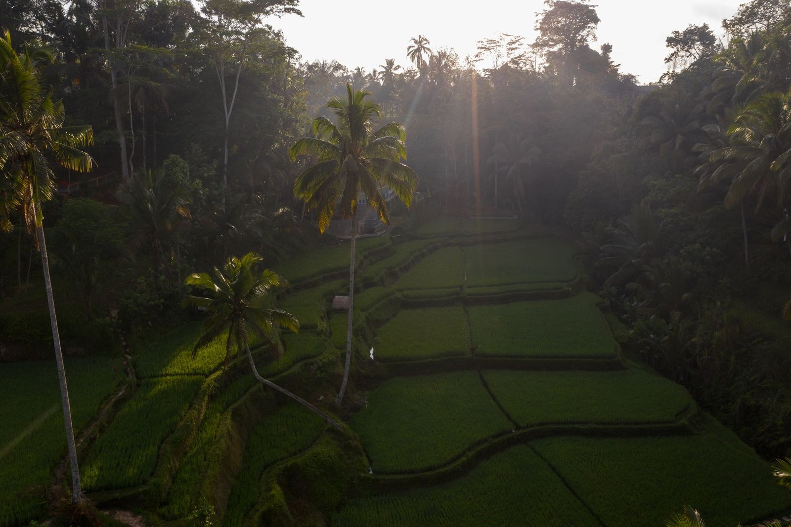 Bali Diving Expedition