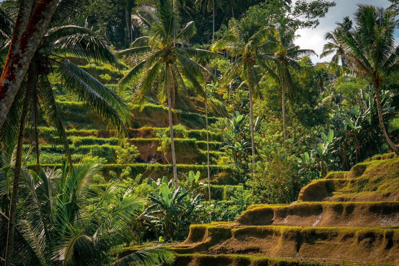 Bali Mountain Trek