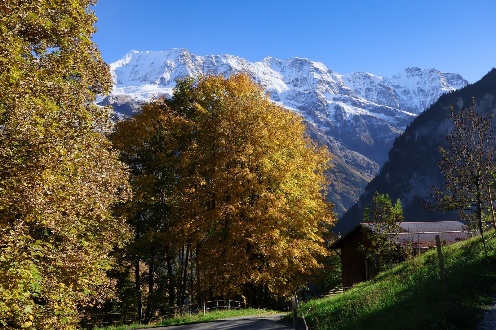Swiss Alps Via Ferrata Climbing