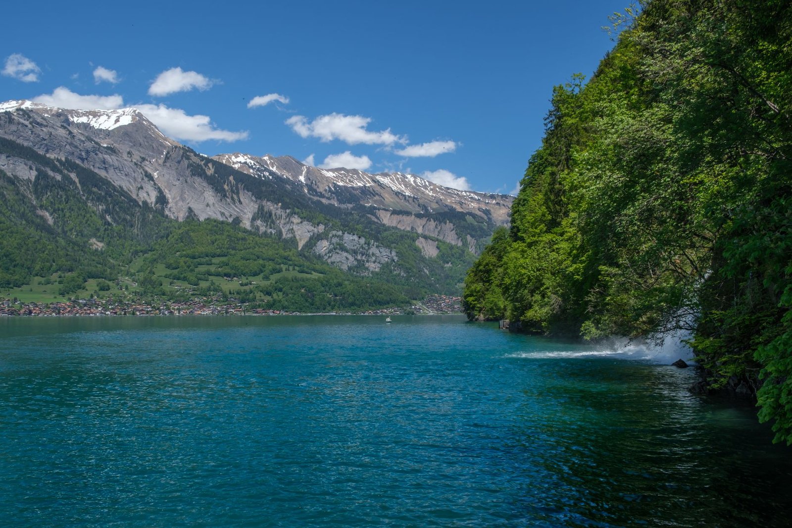 Swiss Alps Village & Castle Tour
