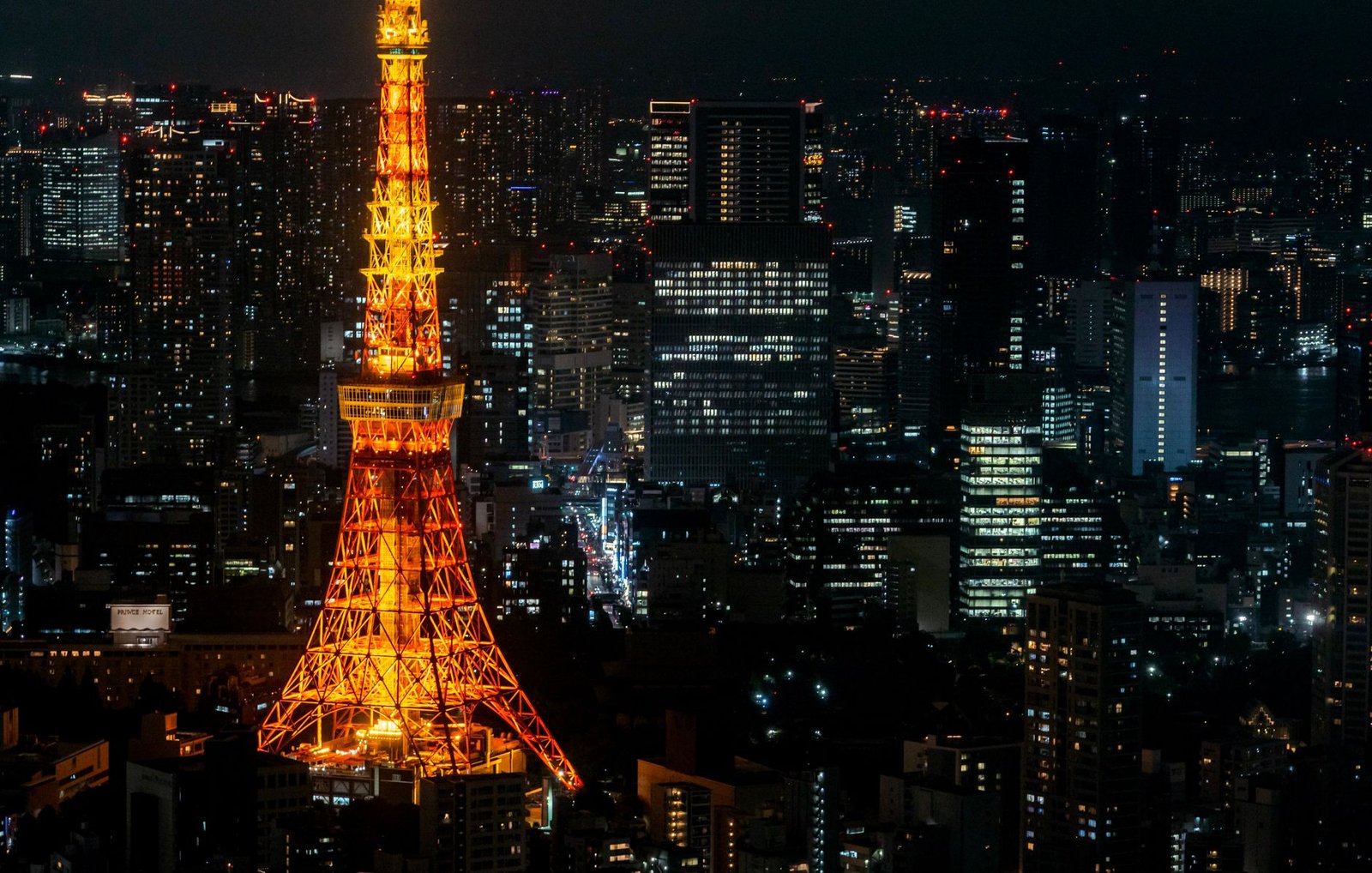 Tokyo Cultural Immersion