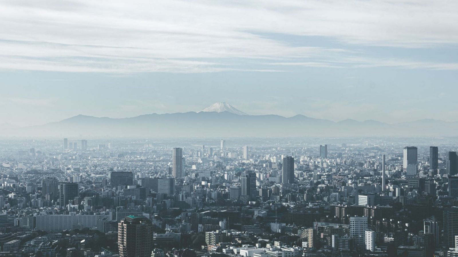 Tokyo Nightlife & Entertainment
