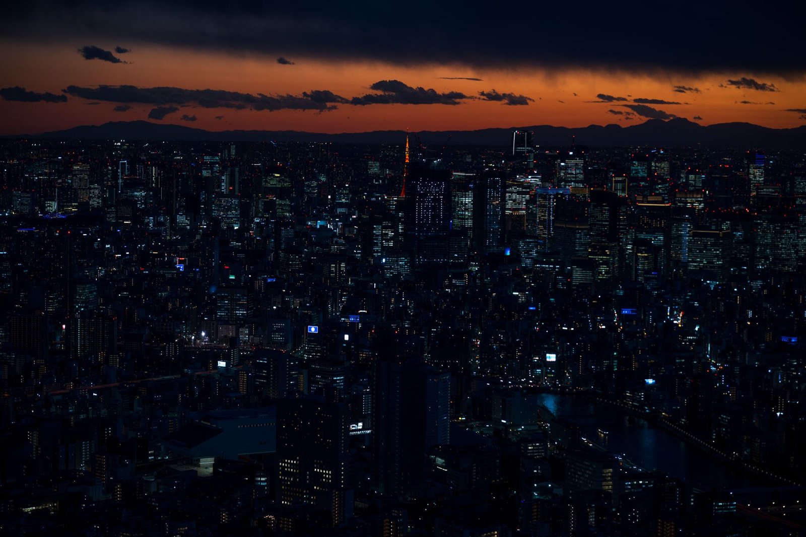 Tokyo Family Fun Package